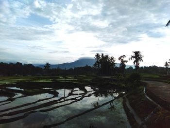 Scenic view of field against sky