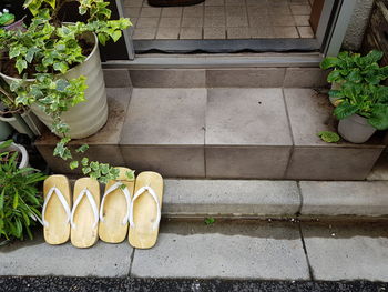 High angle view of potted plants in yard