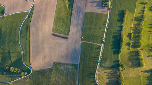 High angle view of agricultural field