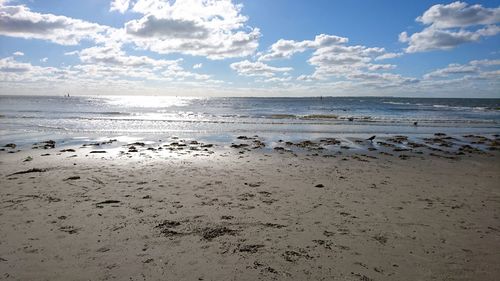 View of calm beach against blue sky