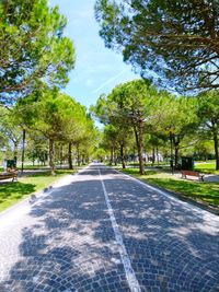 Road by trees in city against sky