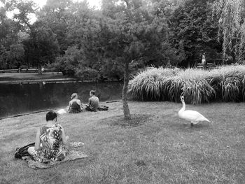 People sitting by plants against trees