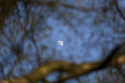 Low angle view of moon against sky at night