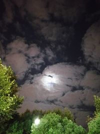 Low angle view of trees against sky at night