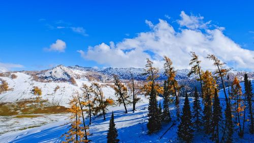 snow