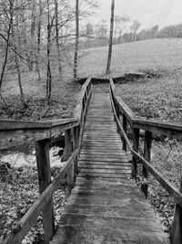 Empty footbridge along trees