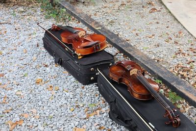 violin