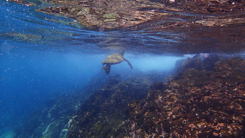 Man in water