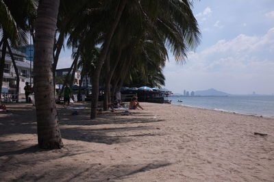 Palm trees on beach against sky