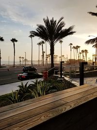 Palm trees on beach against sky