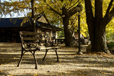Chairs and tables in park