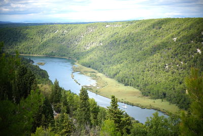 Scenic view of river amidst trees against sky