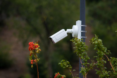 Surveillance camera in the area, street security, face recognition. security system