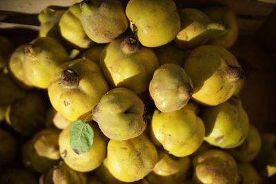 Close-up of fruits for sale in market