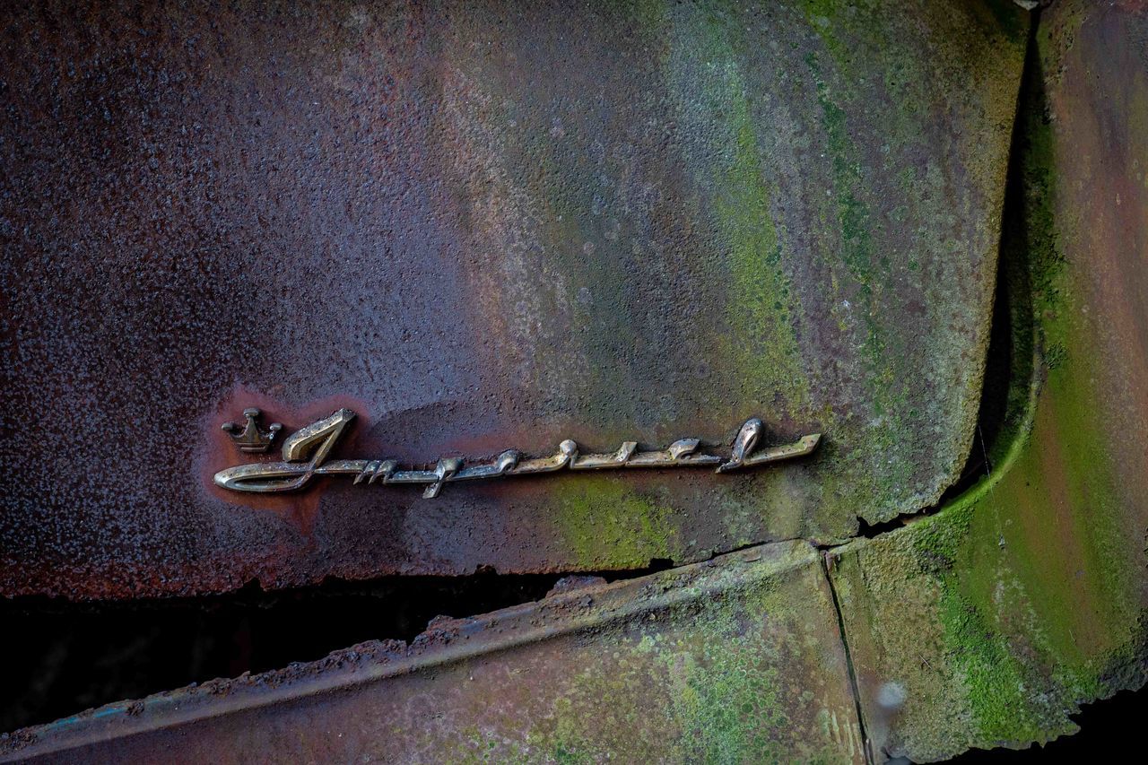 green, no people, metal, rusty, close-up, old, day, weathered, abandoned, outdoors, nature