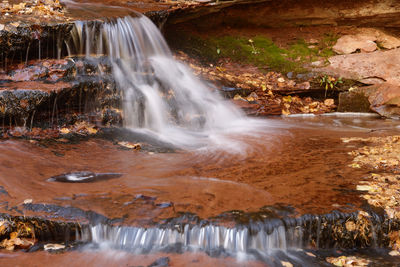 View of waterfall in forest