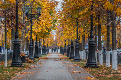 Avenue in the city in autumn