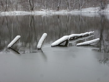 Wooden post in lake during winter