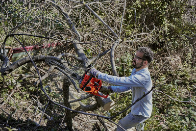 Man felling a forest with an electric chainsaw