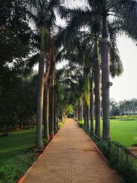 Footpath in park