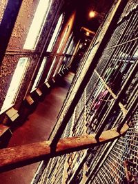 Low angle view of tree against sky