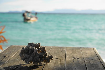 Close-up of bread on beach against sky