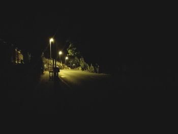 Illuminated trees against sky at night