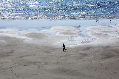 High angle view of man on beach