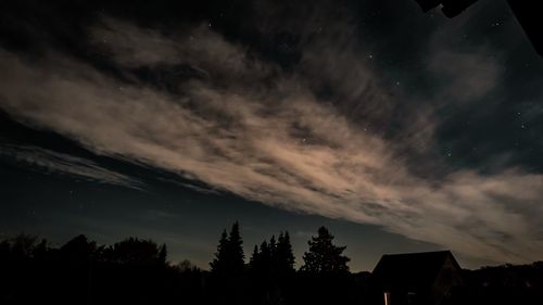 Low angle view of silhouette trees against sky at night