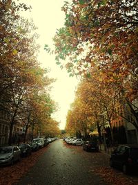 Road passing through trees