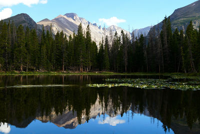 Reflection of trees in lake against sky