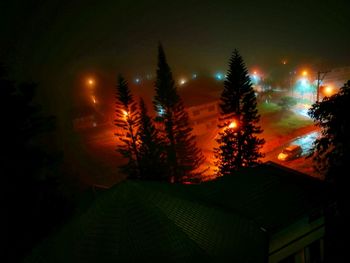 Illuminated trees against sky at night