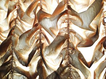 Close-up of built structure