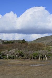 Scenic view of landscape against sky