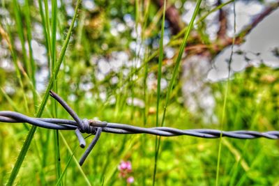 Close-up of barbed wire fence on field