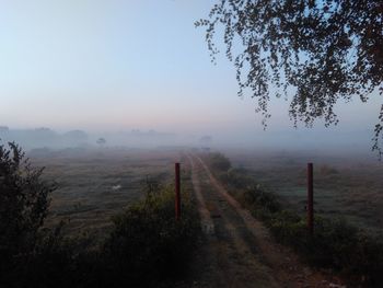 Scenic view of field against sky during foggy weather