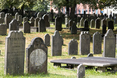 Tombstones in cemetery