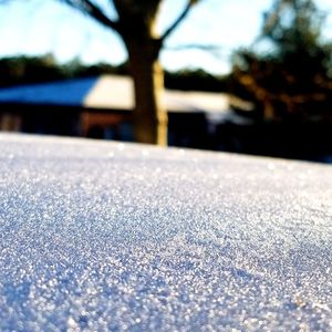 Close-up of snow on road