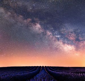Scenic view of lavender farm against star field in sky