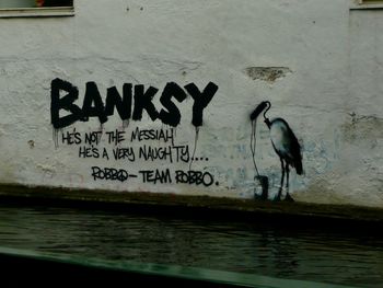 View of birds perching on wall