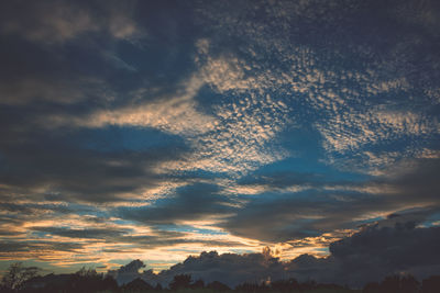 Silhouette of tree against cloudy sky