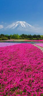 Scenic view of lake against blue sky