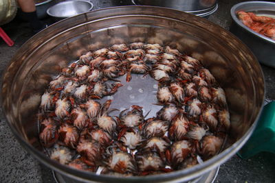 High angle view of crabs in container