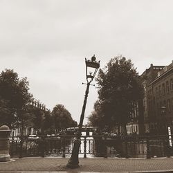 Trees in city against sky