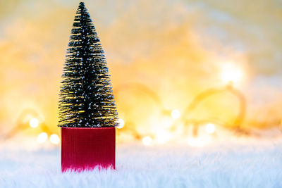 Close-up of christmas decorations on tree