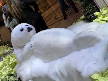 High angle view of white stuffed toy