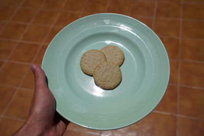 High angle view of hand holding cookies