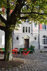 Empty bench by tree against building in city