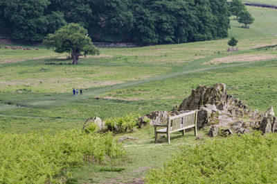 Scenic view of rural landscape