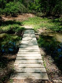 Footpath amidst trees in forest